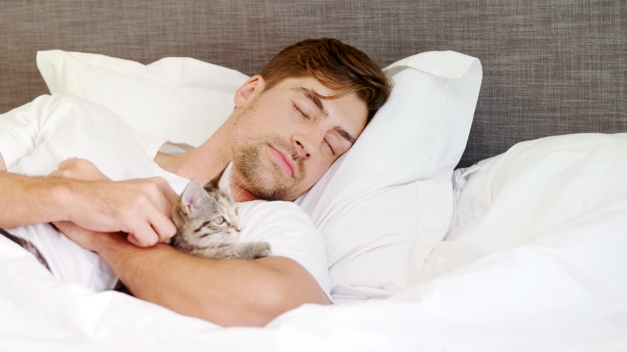 joven durmiendo en la cama sosteniendo un gato en sus brazos 4k 4k