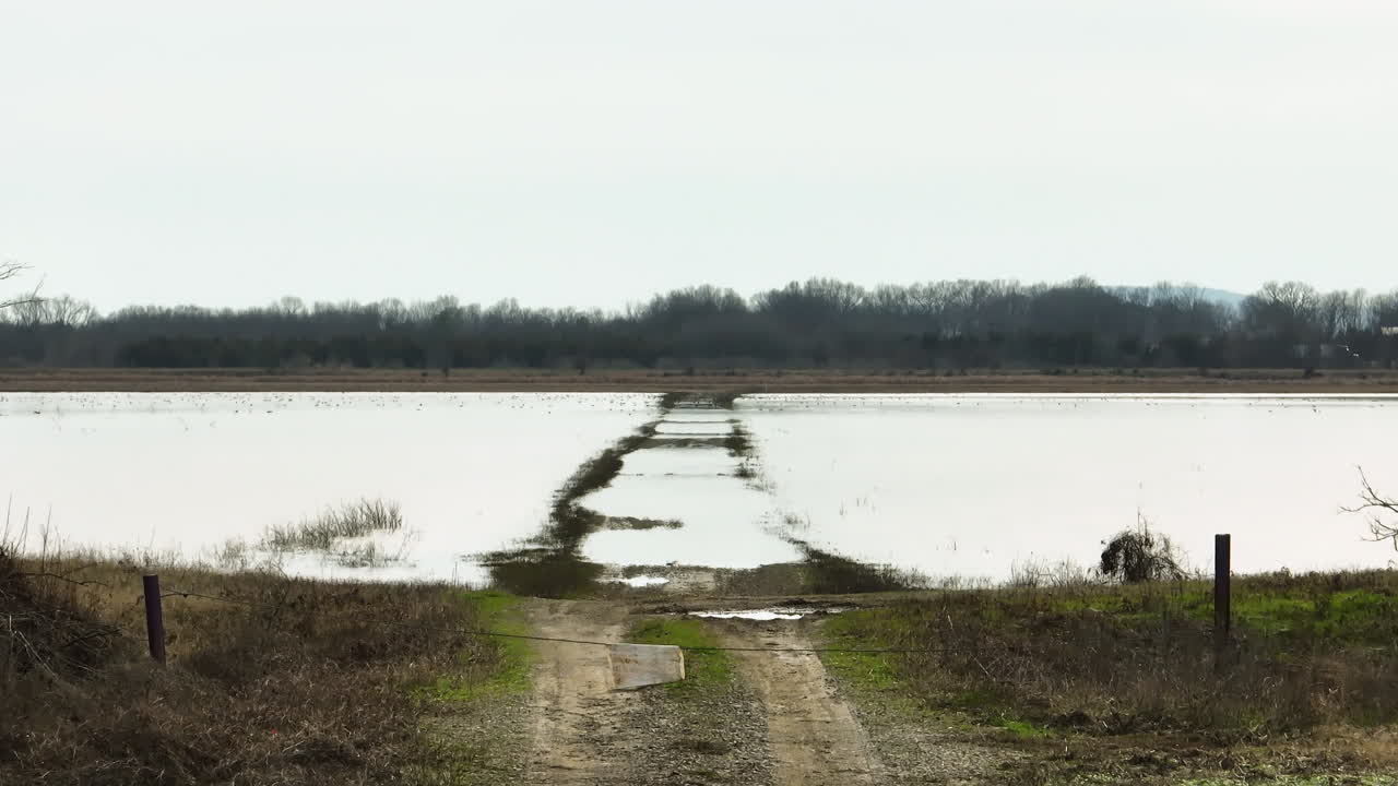 carretera de tierra inundada que atraviesa el punto de eliminación de la zona de vida silvestre, arkansas, en un día nublado
