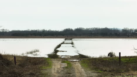 überflutete-Unbefestigte-Straße-Durchschneidet-Point-Remove-Wildlife-Area,-Arkansas,-An-Einem-Bewölkten-Tag