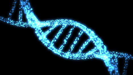 appearing and disapearing dna helix