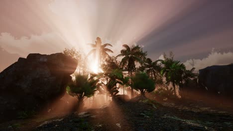 Sunset-Beams-through-Palm-Trees