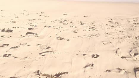 close up of footprints in the sand