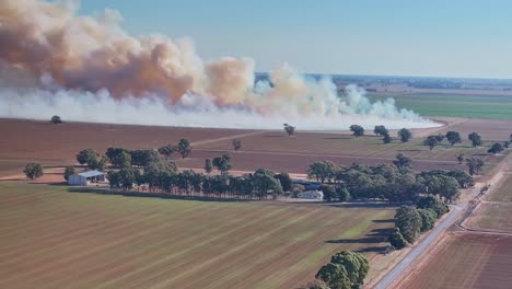 Humo-Procedente-De-Una-Quema-Controlada-En-Un-Campo-Agrícola-Con-árboles-Dispersos