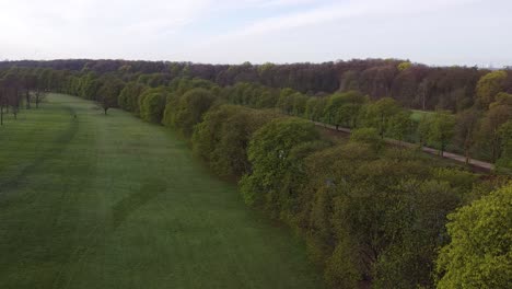 park in the morning with footpaths, an avenue and a river