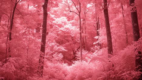 a surreal journey through vibrant pink forest scenery, illuminated by magical light, creating an enchanting atmosphere of nature's beauty and imagination
