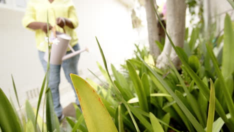 mujer afroamericana de edad avanzada regando plantas en un jardín soleado, cámara lenta