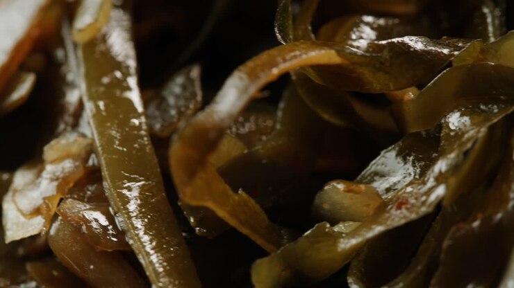 Japanese wakame sea weed laminaria chuka fermented food. Close-up on a detail of Hiyashi Wakame Chuka or seaweed salad or seaweed with sesame seeds on a plate. Top view. Seafood background.