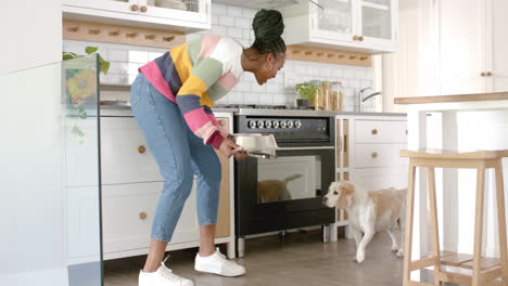 african american young woman feeding dog in kitchen, at home