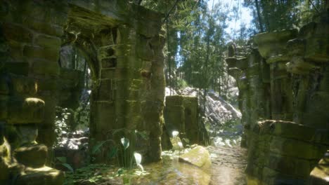 ruined ancient stone house overgrown with plants and ferns in dense green forest