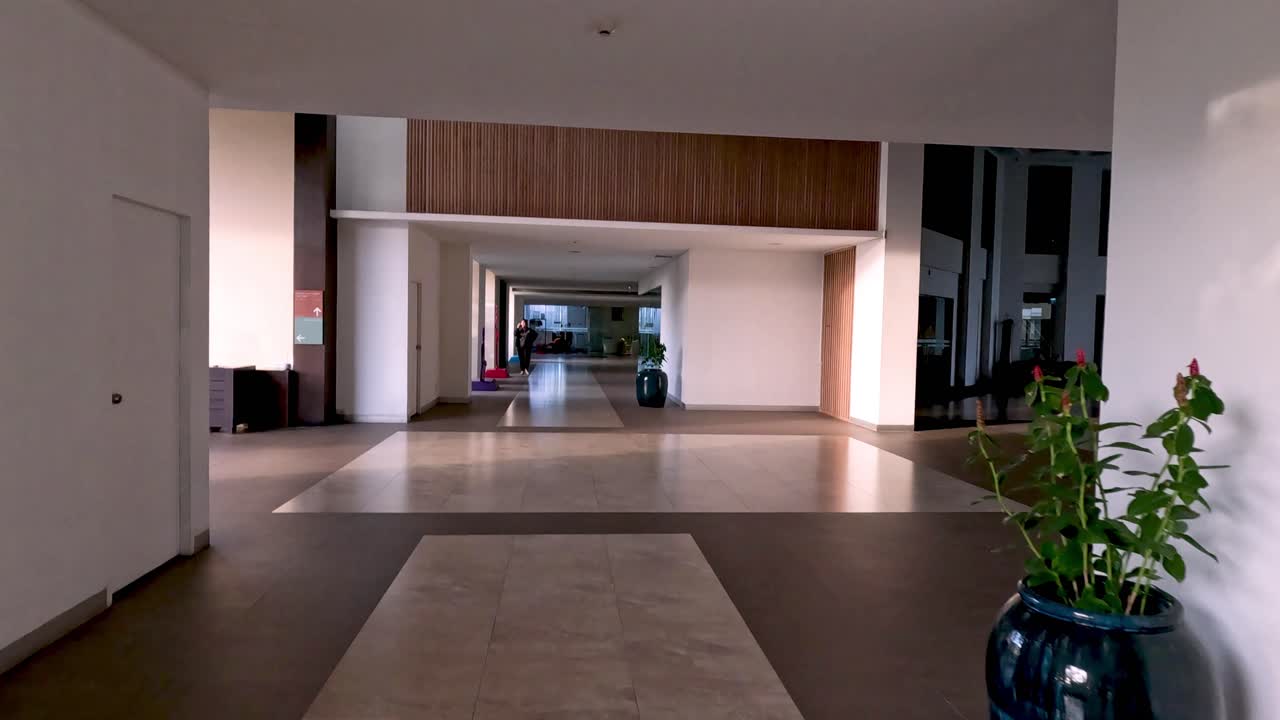 горшечное растение, пересекающее современное внутреннее пространство.