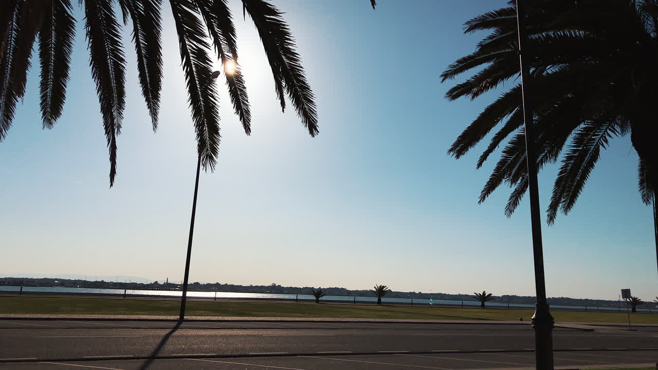 Scenic view of a coastal park with palm trees, sky, and a truck