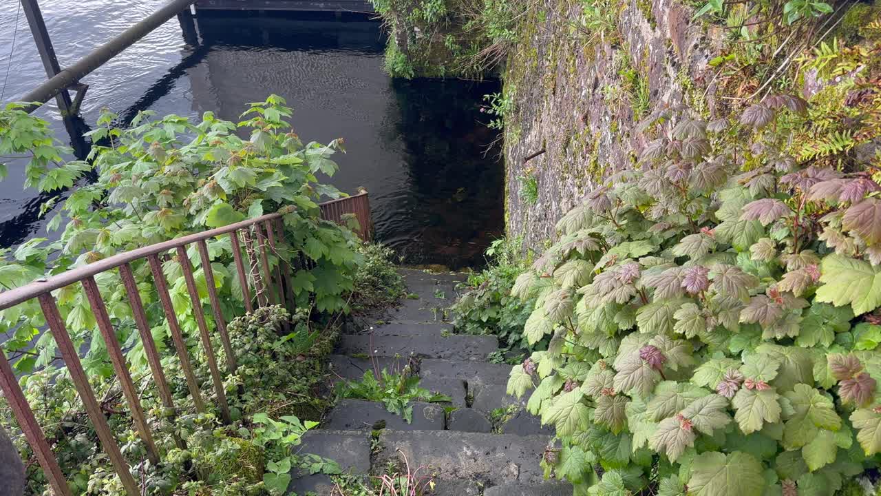 오래된 돌 계단 은 바로 샤논 강, 아이레 에 있는 물 로 내려간다