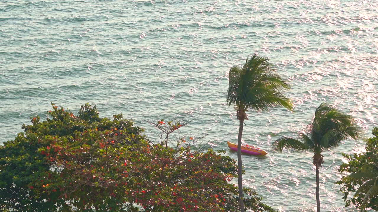 Palm Trees in the Wind, Frame Fill Sea Background. High Angle Static