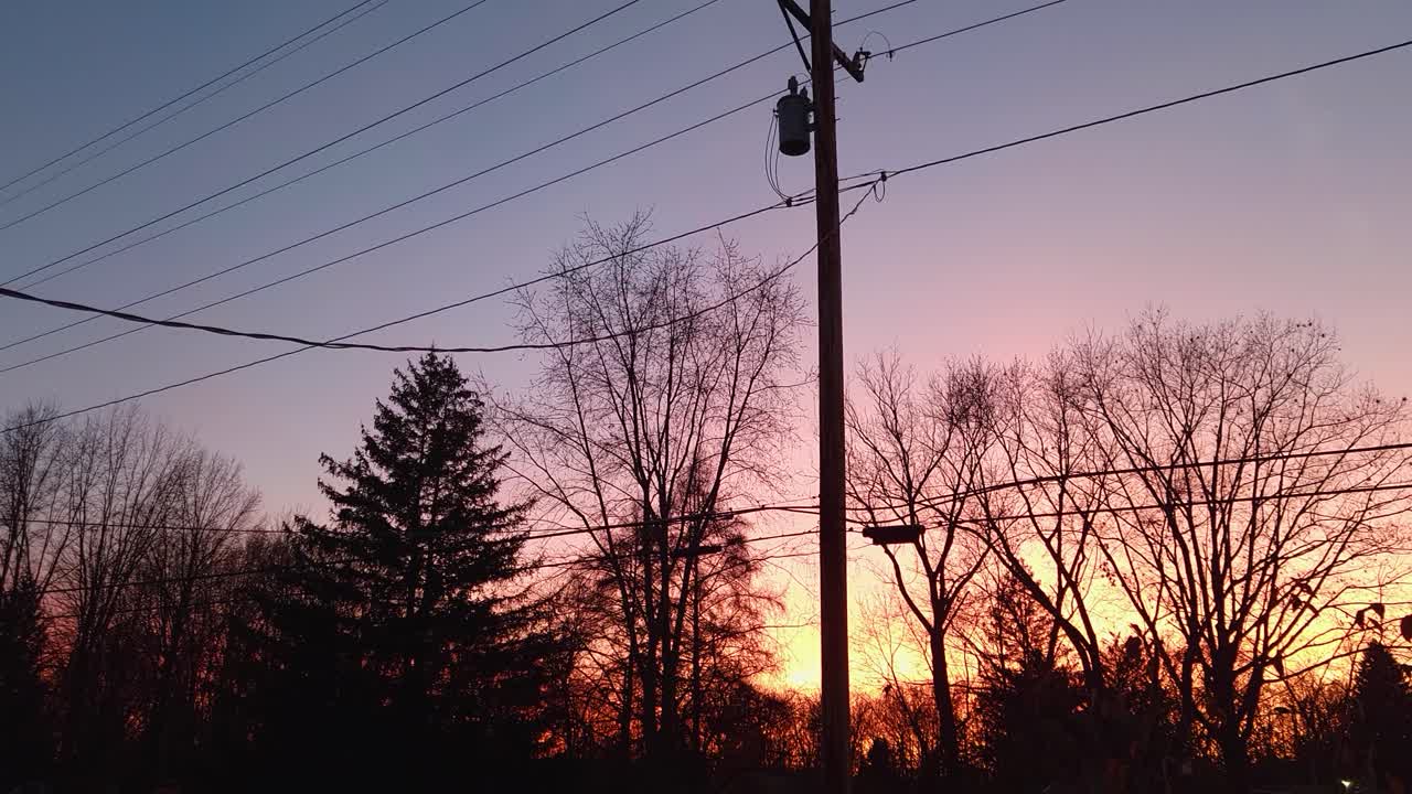 태양 광선에 비추어지는 나무와 마른 풀