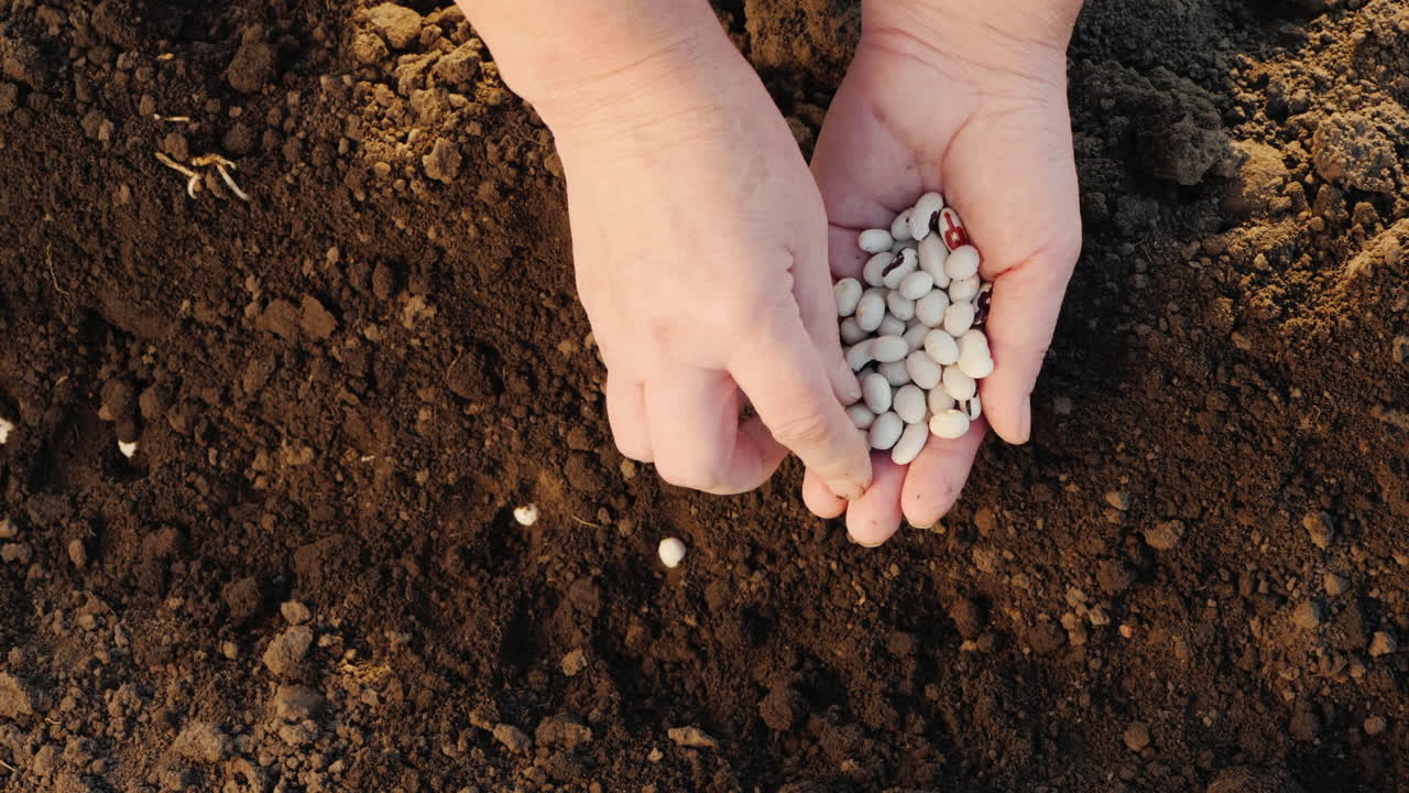 un granjero planta grano en su trabajo de campo en el jardín