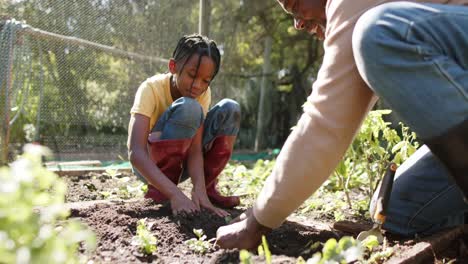 Älterer-Afroamerikanischer-Großvater-Und-Enkel-Pflanzen-Gemüse-Im-Sonnigen-Garten,-Zeitlupe