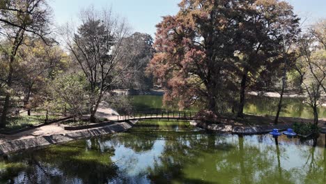 fall foliage surrounds a bridge over a lake in chapultepec, mexico