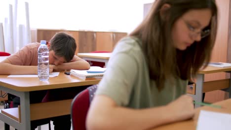 pupils on class in school
