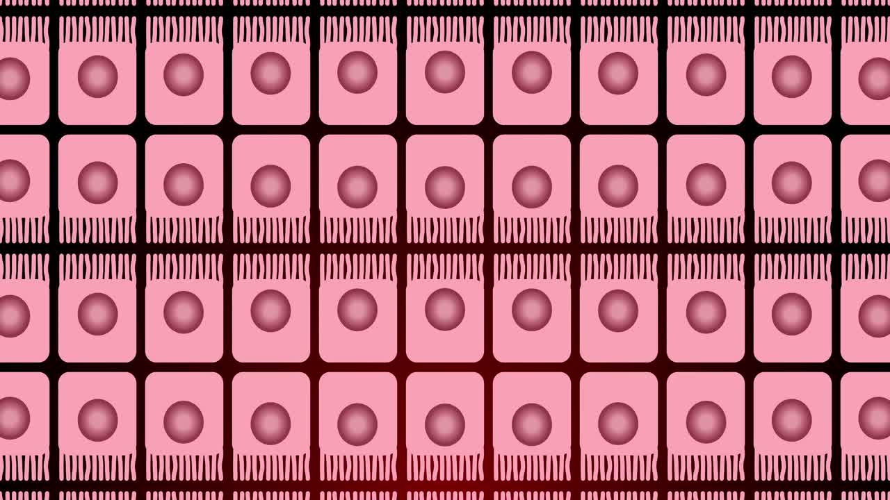 순서대로 분홍색 사각형으로 움직이는 분홍색 원의 애니메이션