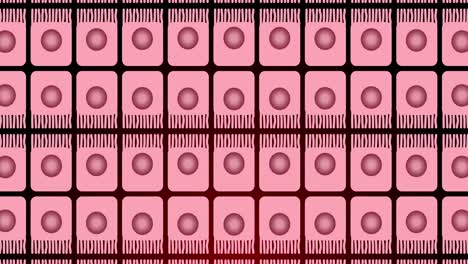Animation-of-pink-circles-moving-in-pink-squares-in-row
