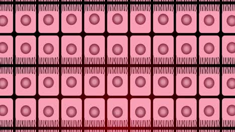 animation of pink circles moving in pink squares in row