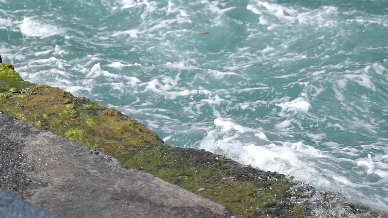 Waves Crashing Against a Mossy Sea Wall