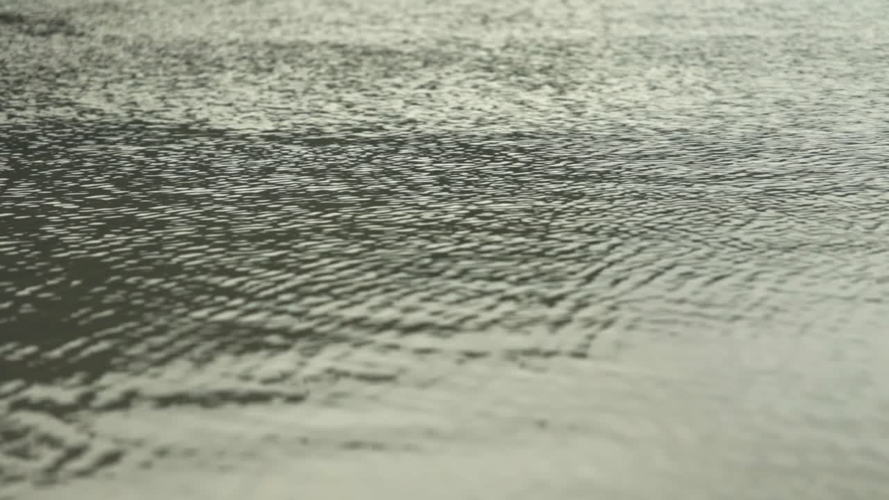 복사 공간이 있는 짙은 녹색 물 배경 화면 보호기