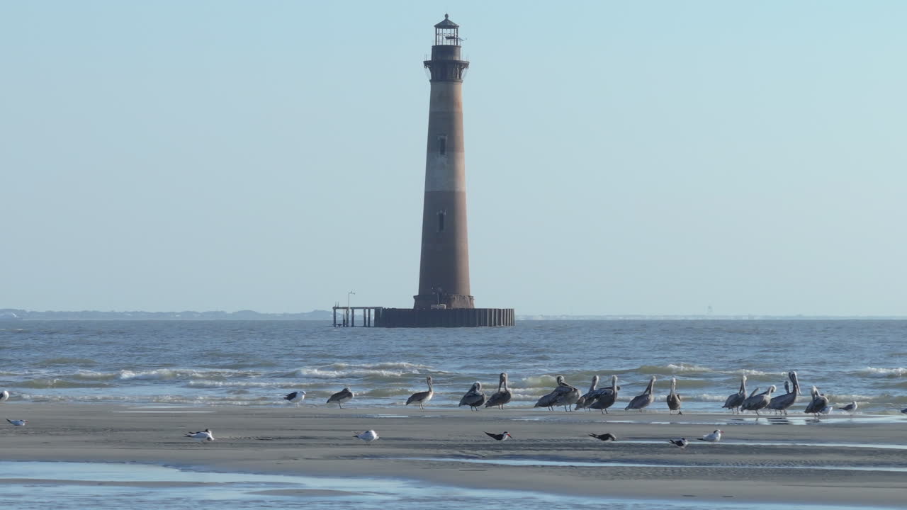 Lighthouse on the Ocean with Birds