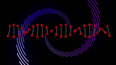 animación de la cadena de adn y los rastros azules sobre fondo negro