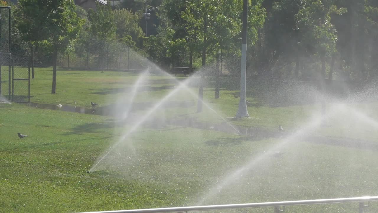 Sprinklers Watering a Lawn in a Park