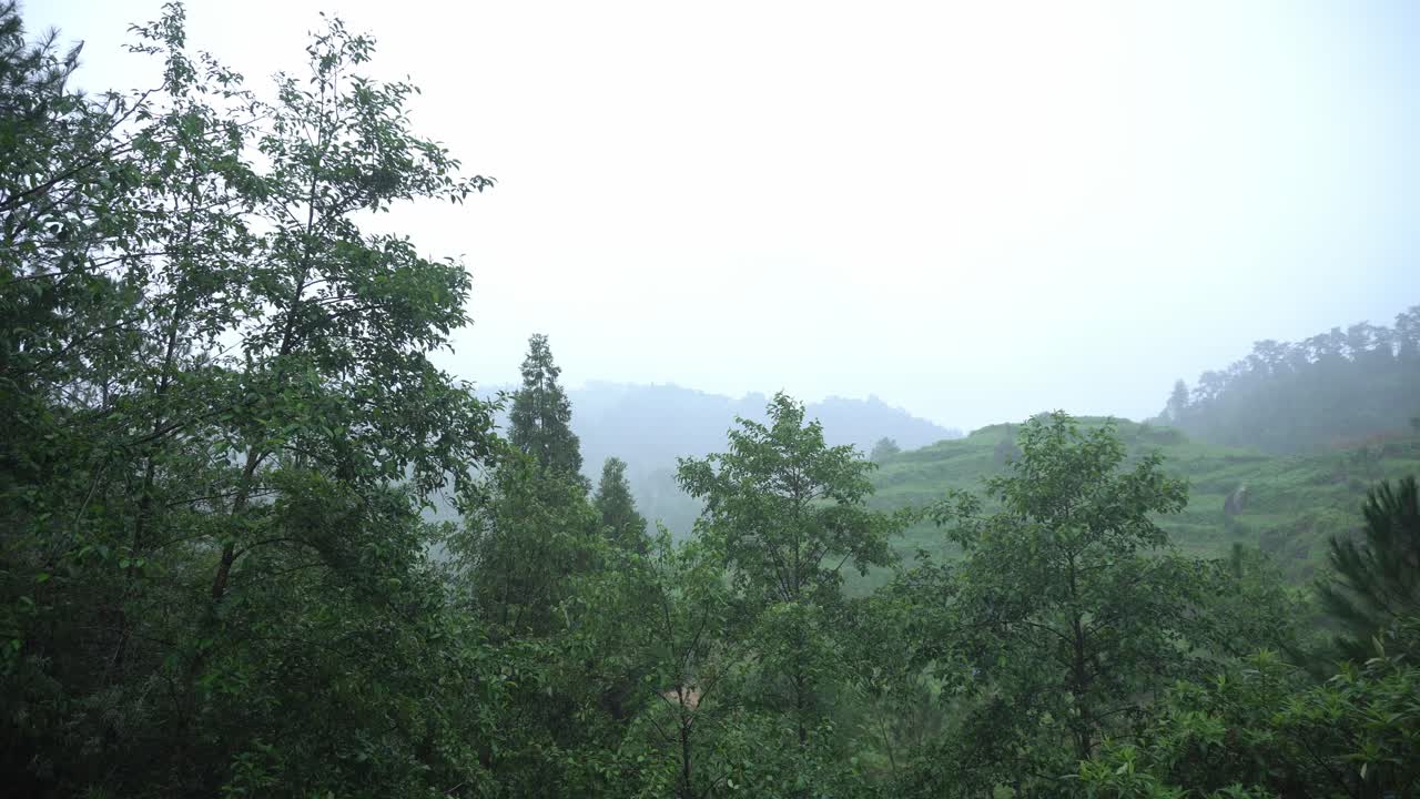 Rain of Meghalay in Forest or hilly areas