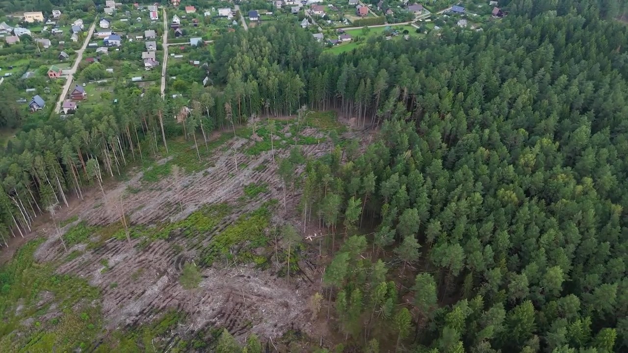 Aerial view of deforestation showing environmental damage and destruction of forest near a residential area, highlighting the impact of logging on natural ecosystems