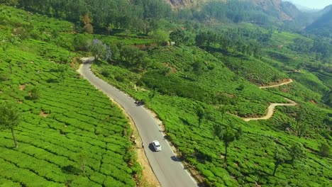 Plantación-De-Té-En-India-Munnar-Asia-Fuera-De-La-Carretera-Toma-Aérea-Verdoso