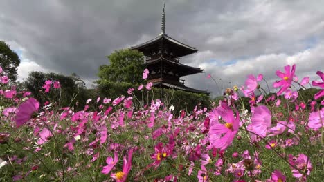 hokki-ji temple - ikaruga, japan