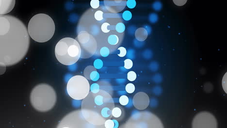 dna strand and glowing circles, scientific data processing animation