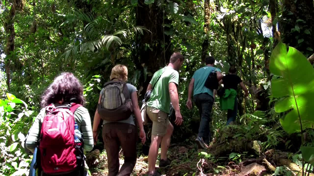 los estudiantes hacen una caminata de un día a través de los everglades