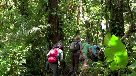 Students-take-a-day-hike-through-the-Everglades