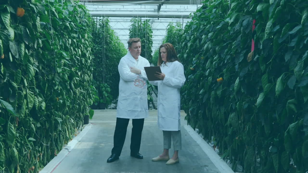 estructura molecular e iconos digitales contra dos científicos que trabajan en un laboratorio de invernadero