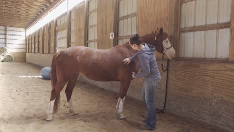 Schöne-Junge-Cowgirlfrau,-Die-Rotbraunes-Pferd-In-Einer-Indoor-Arena-Mit-Schönen-Sonnenstrahlen-Bürstet,-Rustikales-Land-Mit-Warmem-Licht,-Mittlere-4K-Auflösung