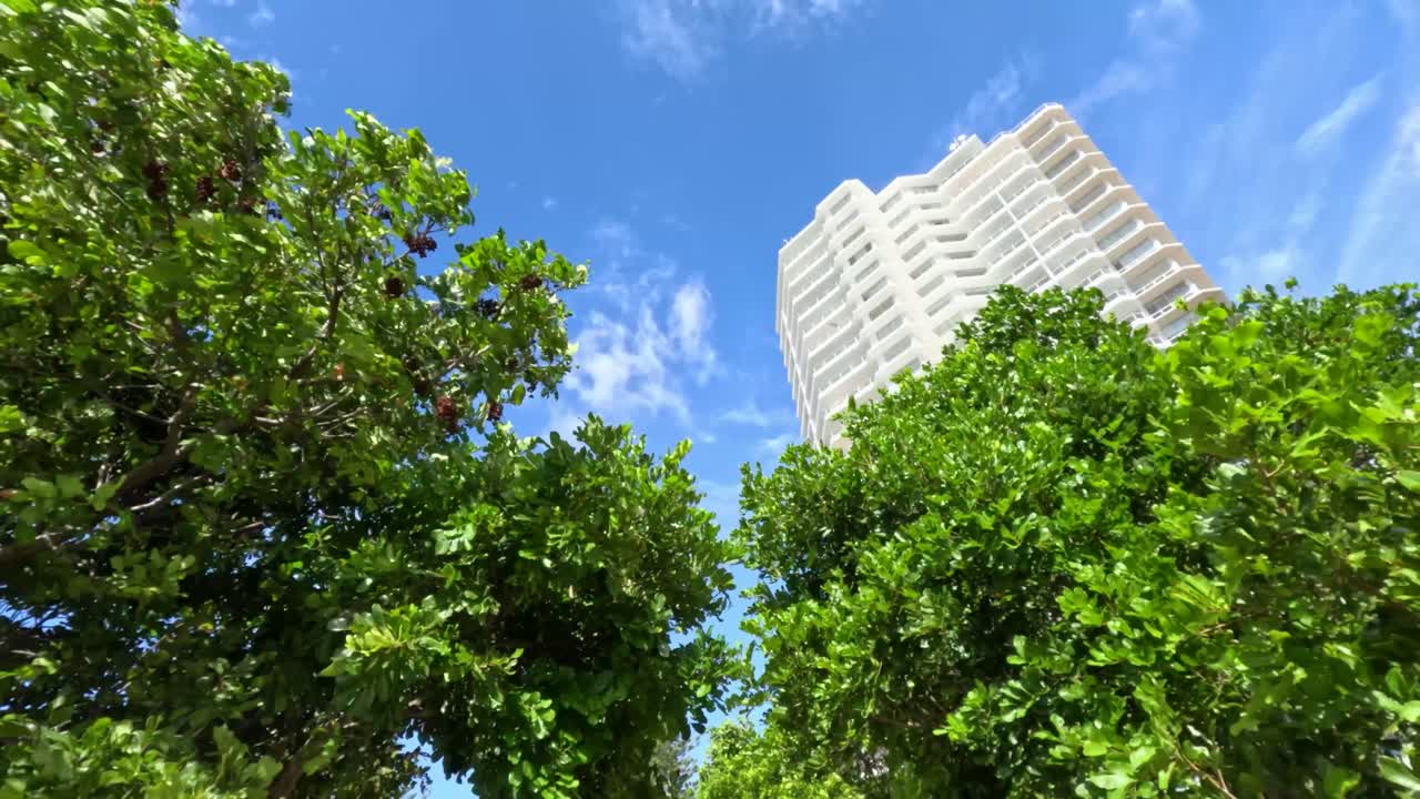 Trees swaying in wind near tall building