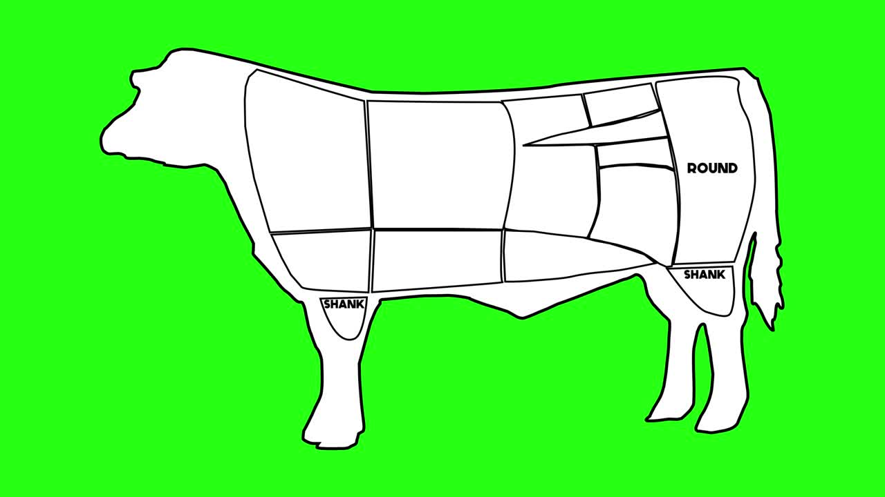 animación por computadora de una vaca dibujada que muestra cortes primarios estadounidenses de carne de res y sus subdivisiones. corte de set de carne. diagrama de carnicero y esquema de vaca.
