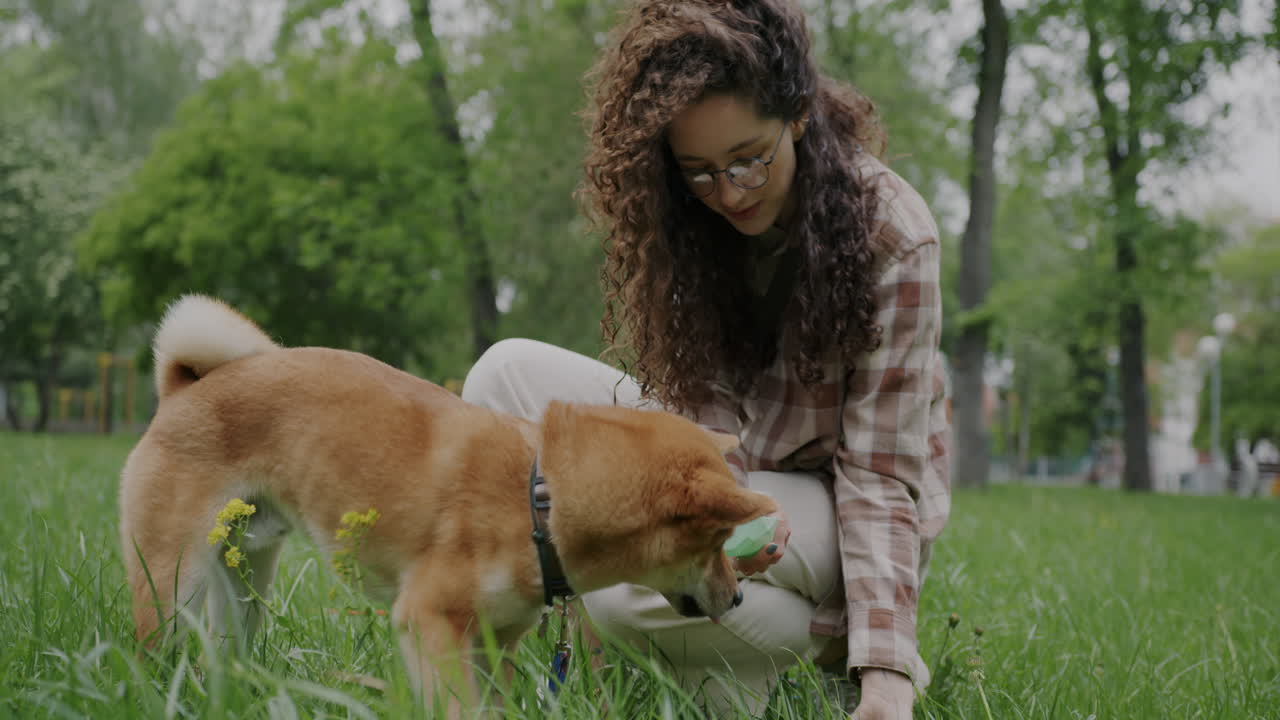 Woman Feeding Her Shiba Inu Dog in a Park