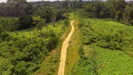 Vista-Aérea-Descendente-De-Drones-Hacia-Un-Pequeño-Camino-De-Arena,-En-La-Selva,-En-Un-Día-Soleado,-En-El-Bosque-De-Nanga-Eboko,-Haute-sanaga,-Sur-De-Camerún