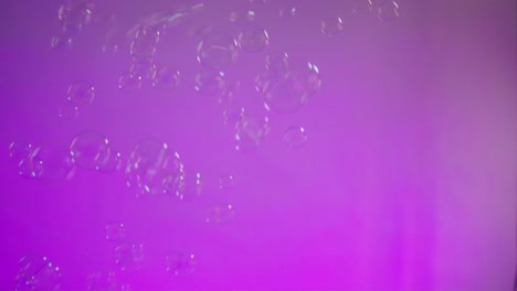 static shot of bubbles with a purple wall behind it, indoor
