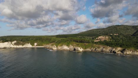 paisaje verde de la orilla
