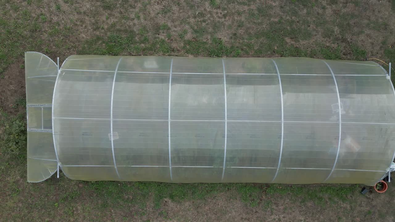 큰 온실 과 주변 지역 의 조류 의 시야