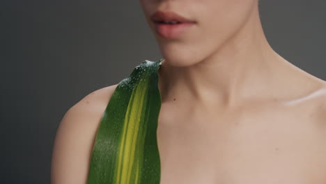 close-up-portrait-attractive-young-woman-touching-leaf-caressing-smooth-healthy-skin-complexion-enjoying-playful-natural-beauty-on-grey-background-skincare-concept