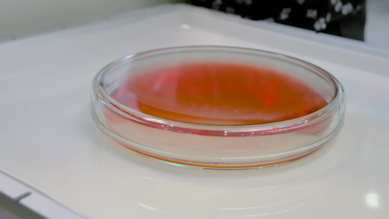 오비탈 셰이커 (orbital shaker) - 페트리 접시에서 생물학적 액체를 혼합, 흔들기, 혼합하기 위한 오비탈