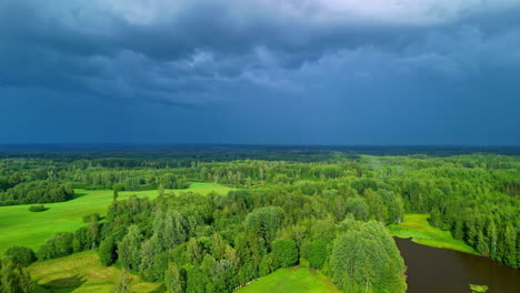 Frische-Naturlandschaft-Mit-Dichtem-Dickicht-Und-Ruhigem-See