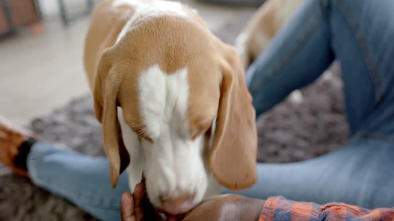 Uomo afroamericano seduto sul pavimento a casa, che gioca con il suo cane domestico, al rallentatore